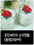 XMAS 시즌 소이캔들 드림해요♡