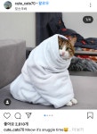칭칭수트레이드 | 칭칭