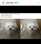아침인사