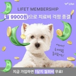 인터펫전주송천점 | 광고정보센터 INTERNET광고 :: 라이펫