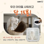 인터펫전주송천점 | 광고정보센터 INTERNET광고 :: 디클펫