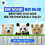 광고정보센터 INTERNET광고 :: WWF KOREA
