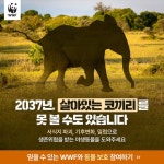 광고정보센터 INTERNET광고 :: WWF KOREA