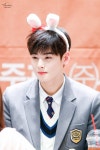 더쿠 - 토끼한마리 분양받아야게따