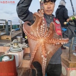 2022-0202-1293 | 점주 선상조황(2022) 1294 페이지 > 인낚ㅣ인터넷바다낚시