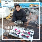 (곤리 풍화)궁항레저 53 51 50외 4짜감성돔 대박 마리수 조황