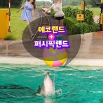 제주도 에코랜드+퍼시픽랜드 - 이마트몰, 당신과 가장 가까운 이마트