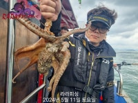 내만문어 조황 안낚 즐낚