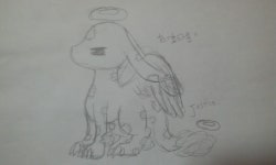 드래곤빌리지 맄도선도(애퓨언니,키요네,트엔더나이트,호타룬) : 드래곤빌리지
