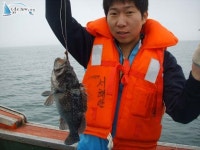 Photo des résultats de recherche Naver 2