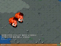 도대채 내가 무슨짓을 -ㅅ- - (구)스크린샷 게시판 - 온감