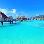 Flipboard의 Bro