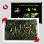 이라운드몰 글로벌이커머스 eroundmall
