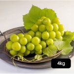 산사과농장 샤인머스캣 2+2kg(4수) - NS홈쇼핑