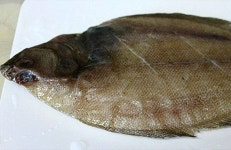 가자미