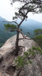 향호삼거리(하) | 대강삼거리