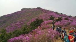 영취산슈퍼 식당 | 영취산