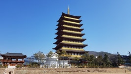 경북경주시토함산봄맞이코스