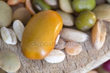 혼합된 야채