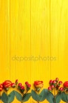 Hypericum, 장미와로 웬