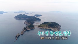 세상의모든기행 세상의모든기행 - 죽기 전 한 번쯤, 명당 5부 바다에 핀 연꽃, 연화도(수어방송)