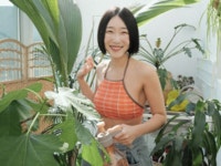 고단백저탄수화물다이어트 | 검색결과 - zum 허브