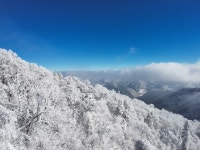 야미야미왕산점 | 발왕산 | 검색결과 - zum 허브
