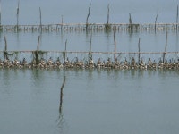Foto aus Naver-Suchergebnissen 3