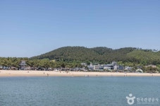 연포해수욕장 관광 정보와 주변 관광 명소 및 근처 맛집 여행 정보