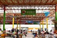 Foto aus Naver-Suchergebnissen 2
