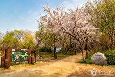 세계평화의숲 - 주변 여행 및 근처 관광 명소 - 국내 여행 정보와 관광 명소 정보