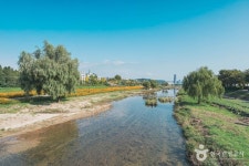Foto aus Naver-Suchergebnissen 2