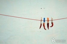 새만금연계고창발전진흥재단 | 버스 단 3일 특가 군산 선유도 / 부안 뽕잎체험 / 고창 선운사 벚꽃 (1박2일) : 인터파크투어