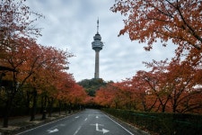 Foto aus Naver-Suchergebnissen 3