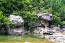 선유동식당자판기 | 仙遊渓谷(선유구곡(선유동계곡)) - 観光 - 韓国旅行・観光情報