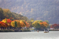 성진강식당 | 大同江( 대동강식당 ) - 餐廳 - 韓國旅行和旅遊信息