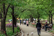 주식회사 연지홀딩스 | 연지공원 관광 정보와 주변 관광 명소 및 근처 맛집 여행 정보