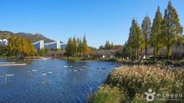 주식회사 연지홀딩스 | 연지공원 관광 정보와 주변 관광 명소 및 근처 맛집 여행 정보