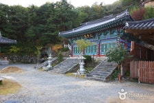 산, 서대산 - 캠프위크