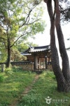 명인안동소주&안동특산품동림직판장 | 명인안동소주 - 주변 여행 및 근처 관광 명소 - 국내 여행 정보와 관광 명소 정보