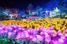 Foto hasil carian Naver 4