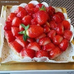 검은사막 인벤 : 안녕! 도담이가 왔도담! - 검은사막 인벤 자유게시판