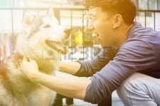 시베리아허스키냉면 수원대점 | 젊은 아시아 남성 개 소유자 연주와 사랑과 관심으로 행복 허스키 시베리아 개 애완 동물을 만지고. 로열티 무료 사진, 그림, 이미지...