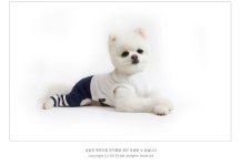 키웰구월 | 텐바이텐 10X10 : Leggings Suit (Navy)