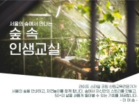 강좌 - 상세 | 서울시 50플러스포털 서울의 숲에서 만나는 숲 속 인생교실