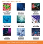 Neural Stemcell Subtype을 Single-cell Western으로 확인하세요 | 연구용제품 > Bio마켓 | BRIC
