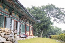 > > >충남관광