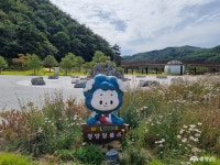 Photo des résultats de recherche Naver 2