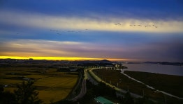 물안개가요주점 | 베스트갤러리 - 물안개가 없이 새벽을 여는 자유로