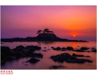 베스트갤러리 - 허탈한 솔섬